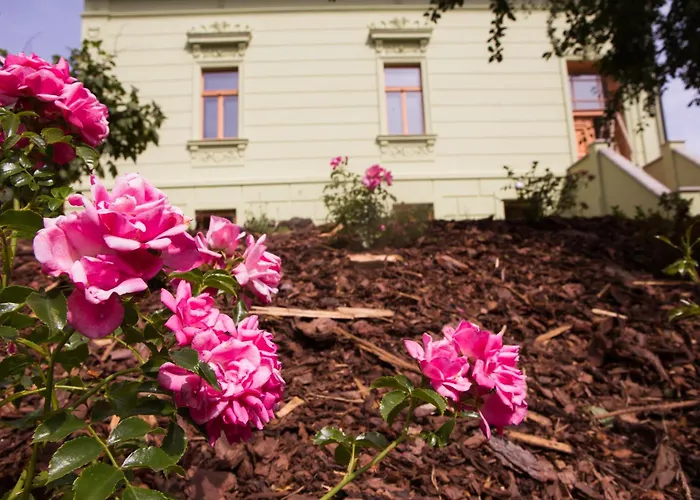 U Vladare Velhartice